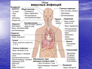 Какие болезни бывают у человека