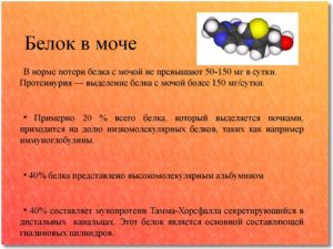 Как уменьшить белок в моче