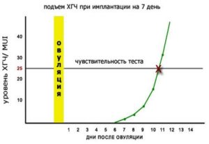 Как растет хгч после имплантации в моче