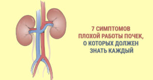 Не работает почка как запустить почку