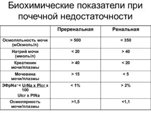 Какой анализ крови при болезни почек