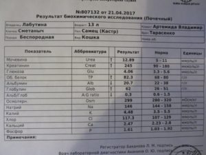 Анализ крови при камнях в почках
