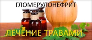 Можно ли вылечить гломерулонефрит травами