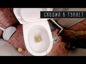 После того как схожу в туалет по маленькому еще хочется