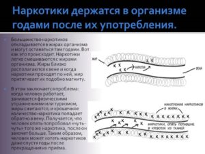 Как долго в моче держатся наркотики