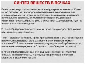 Синтез в почках