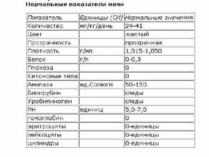 Анализ мочи sg норма у женщин