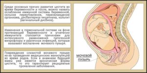 Беременность после цистита