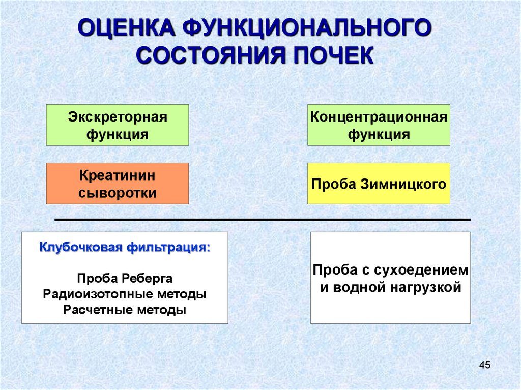 Функциональное состояние почек оценивается по анализу мочи методом