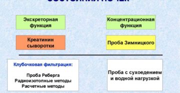 Функциональное состояние почек оценивается по анализу мочи методом