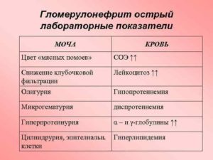 Изменения в общем анализе мочи при гломерулонефрите