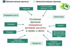 Мочевая кислота в крови повышена лечение таблетки