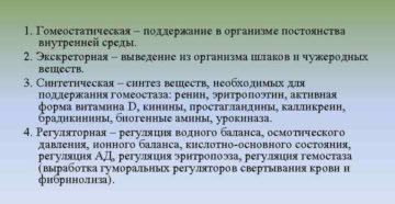 Функции мочевыделительной системы человека