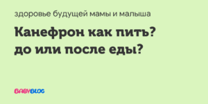 Как принимать канефрон капли до еды или после