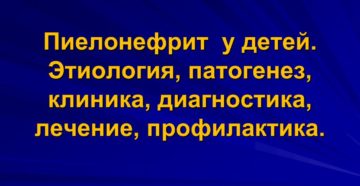 Пиелонефрит лечение клиника диагностика лечение профилактика