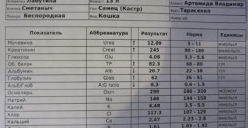 Какие показатели крови надо сдать чтобы проверить почки