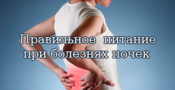 Если болят почки что нельзя