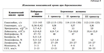 Повышены эритроциты у беременной в крови