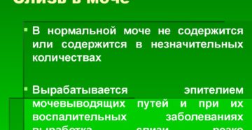 Слизь в моче 1 что это значит у женщин