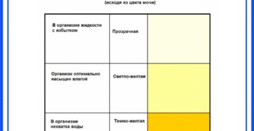 Если моча светлая