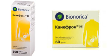Что пить для улучшения работы почек