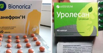 Канефрон частое мочеиспускание