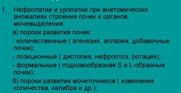 Наследственные заболевания почек и мочевыводящих путей