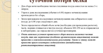 Как сдавать мочу на белок