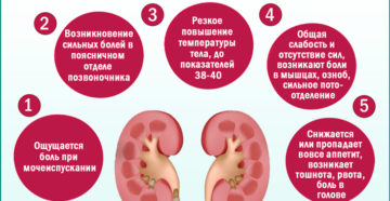 Может тошнить при пиелонефрите