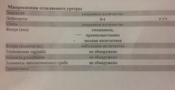 Мазок из уретры у женщин расшифровка