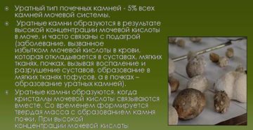 Какие камни образуются в почках при повышенной мочевой кислоте
