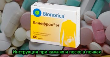 Канефрон показания к применению при камнях в почках