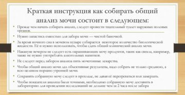 Полный анализ мочи как собирать