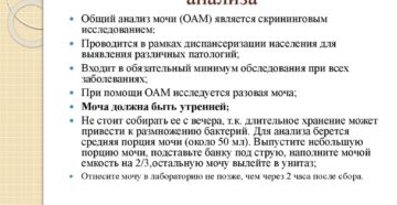 Как правильно собрать мочу на общий анализ
