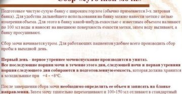 Как собрать суточную мочу на оксалаты