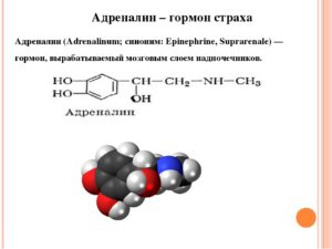 Адреналин это гормон какой железы