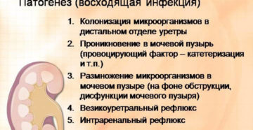 Пиелонефрит обострение симптомы
