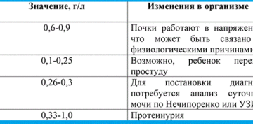 Белок в моче у ребенка 4 года