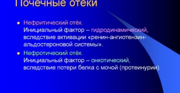 Отек почки что это