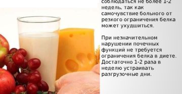 Белковая диета и почки