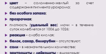 Первичная моча здорового человека не содержит