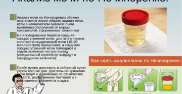 Как собирать мочу проба нечипоренко