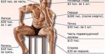 Сколько стоит почка в европе