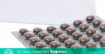 Хофитол от песка в почках