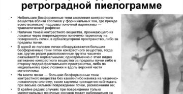 Какие симптомы когда отбиты почки