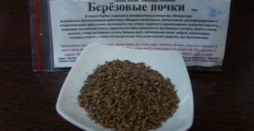 Березовые почки можно детям