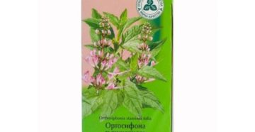 Ортосифон инструкция по применению