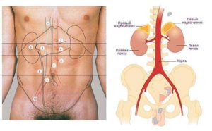 Болит почка справа при движении