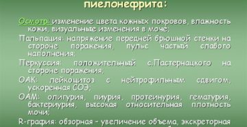 Визуальное изменение мочи при пиелонефрите
