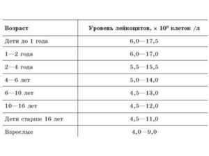 В моче лейкоциты у ребенка что это